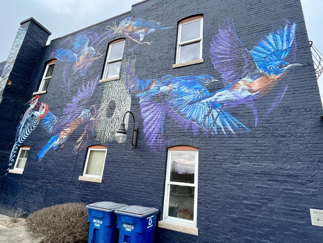 A mural located at 117 N 1st in downtown Ann Arbor entitled 'Symbiosis of the Red Bellied Woodpecker and the Eastern Bluebird' by artist Jacob Dwyer as part of the A2AC mural tour.