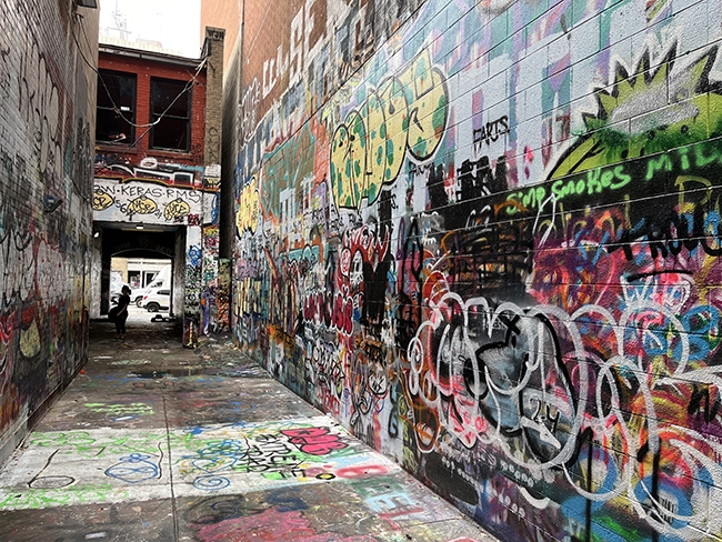US Travel Blogs, US Travel Blogger, visit all 50 states. Graffiti Alley in downtown Ann Arbor, MI