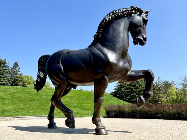 The most popular sculpture in the Frederik Meijer Gardens & Sculpture Park is 'the American Horse'.