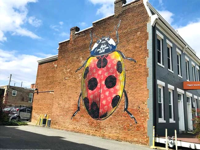 A mural of a ladybug outside an apartment building in the Carytown district in Richmond, Virginia.